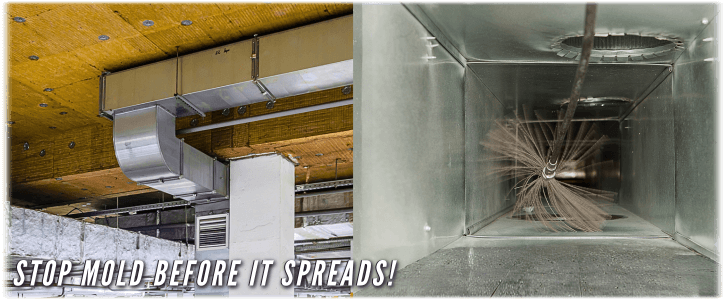 Air Duct Mold Removal in Spring TX