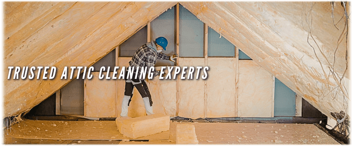 Attic Cleaning Spring TX